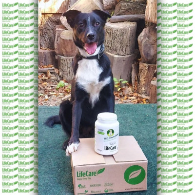 715 Likes, 97 Comments - Bruno&Blacky🇷🇴 (bruno.and.blacky) on Instagram: 