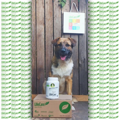 876 Likes, 84 Comments - Bruno&Blacky🇷🇴 (bruno.and.blacky) on Instagram: 