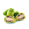 Supliment din suc de Noni BIO, Pure Noni, Life Care®