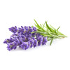 Detergent BIO lichid, cu nuci de sapun si ulei esential de lavanda, Life Care®