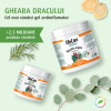 Gel racoritor, Gheara Dracului®, cu plante BIO, Life Care®