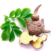Glucomannan Extract, Life Care®