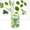 Smoothie Vegan, Green, Life Care®